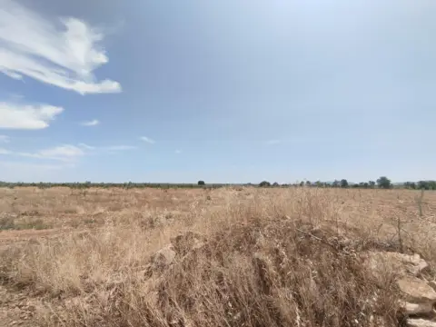 Finca rústica en Membrilla
